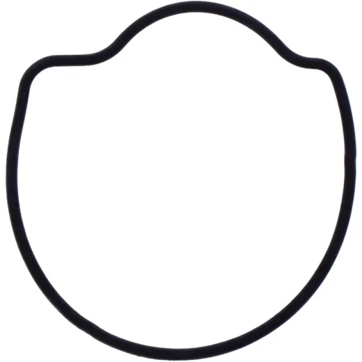 Dichtung Wasserpumpe Deckel Originalersatzteil 1109189