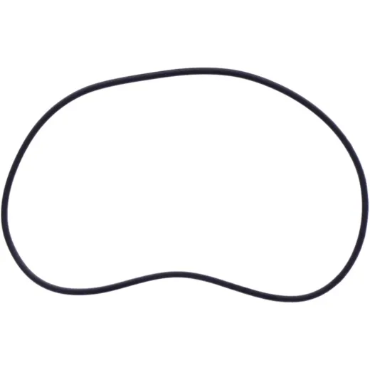 O-ring (orig spare part) 1109191