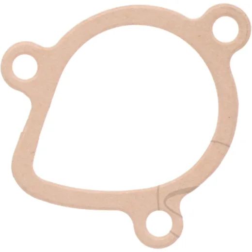 Dichtung Wasserpumpe Deckel Originalersatzteil 1109198