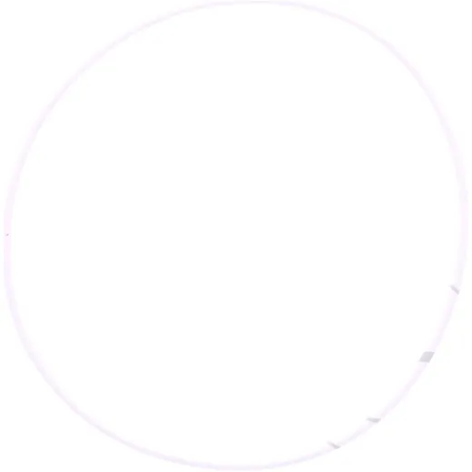 O-Ring 2.2X93 mm Athena