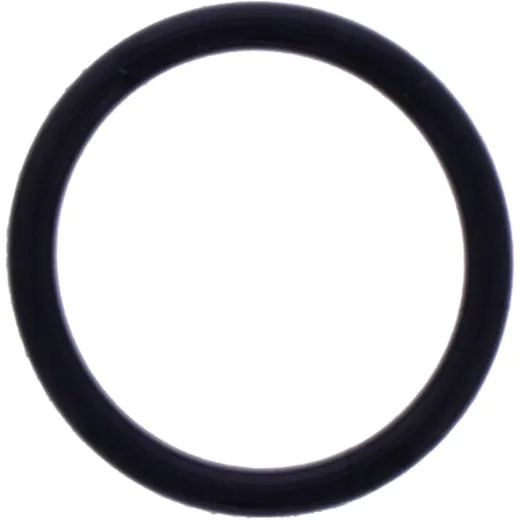 O-Ring Originalersatzteil 1116612