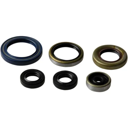Engine oil seal kit P400270400013