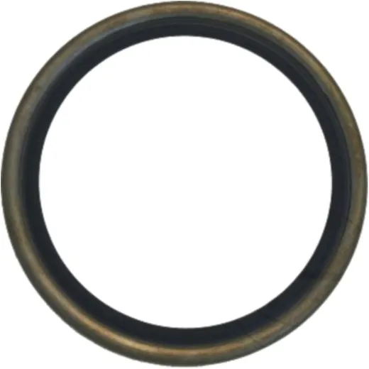 Shaft seal 12006467B