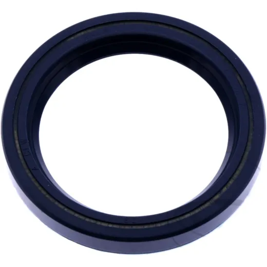 Shaft seal 12010943B