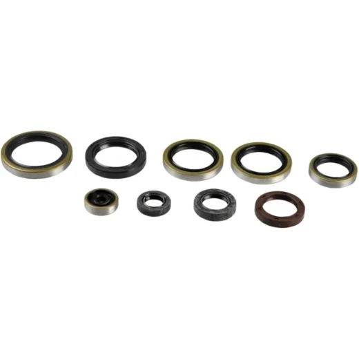 Engine oil seal kit P400270400009