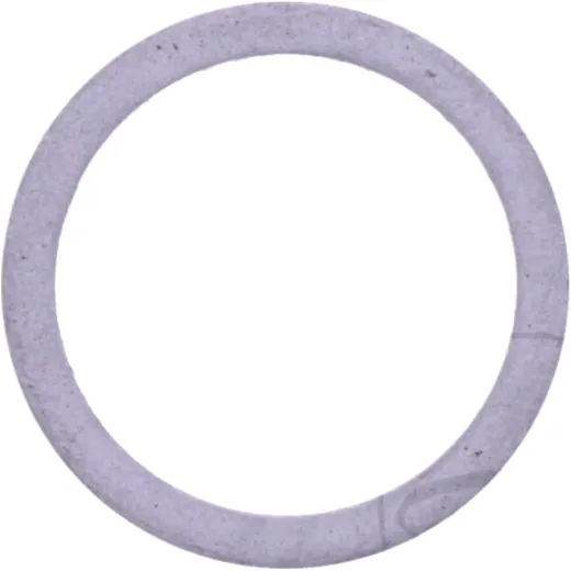 CAM CHAIN TENSIONER GASKET (OE SPARE PART)
