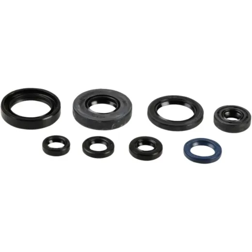 Engine oil seal kit P400485400045