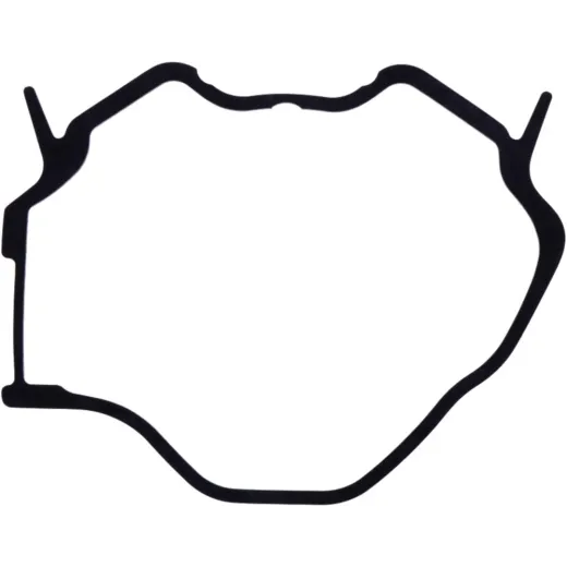 ALTERNATOR COVER GASKET (OE SPARE PART)