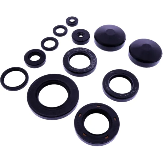 OIL SEAL KIT TOURMAX