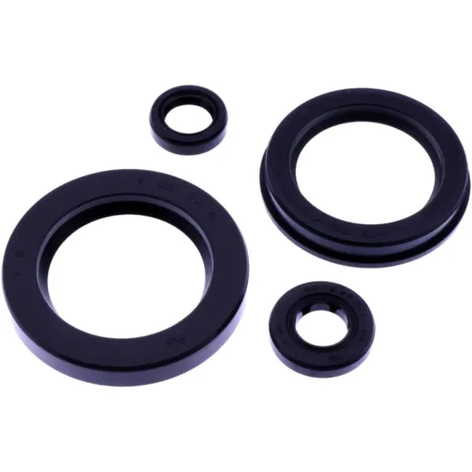 OIL SEAL KIT TOURMAX