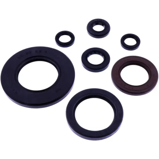 OIL SEAL KIT TOURMAX