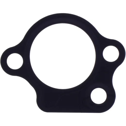 CAM CHAIN TENSIONER GASKET (OE SPARE PART)