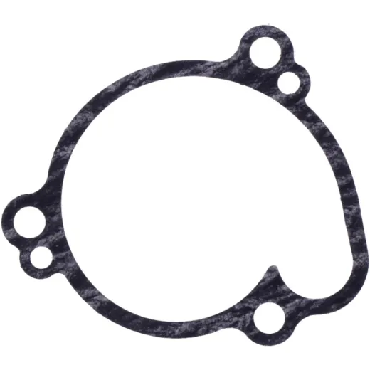 Dichtung Wasserpumpe Deckel Originalersatzteil 1197145
