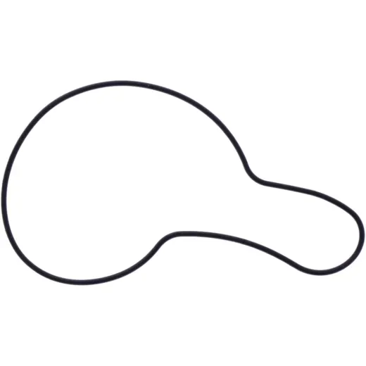 WATER PUMP COVER GASKET ORIGINAL SPARE PART