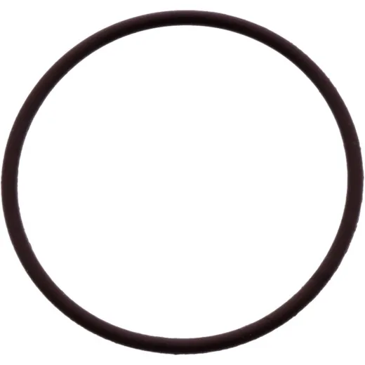 O-RING (OE SPARE PART)