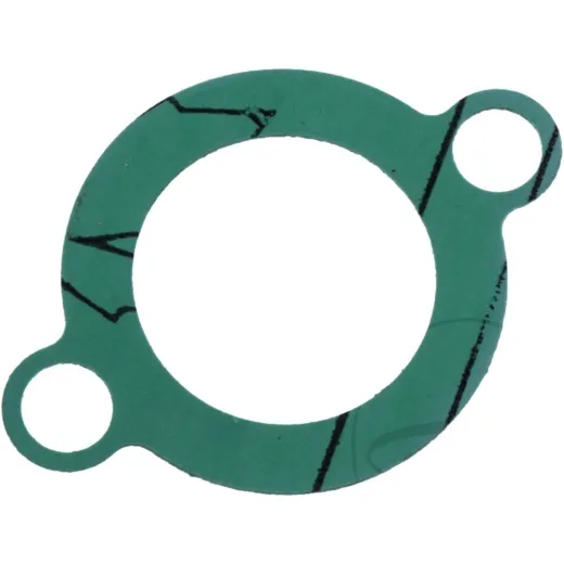 CAM CHAIN TENSIONER GASKET (OE SPARE PART)