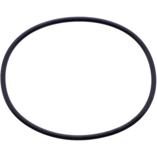 O-RING 2.5X60MM (OE SPARE PART)