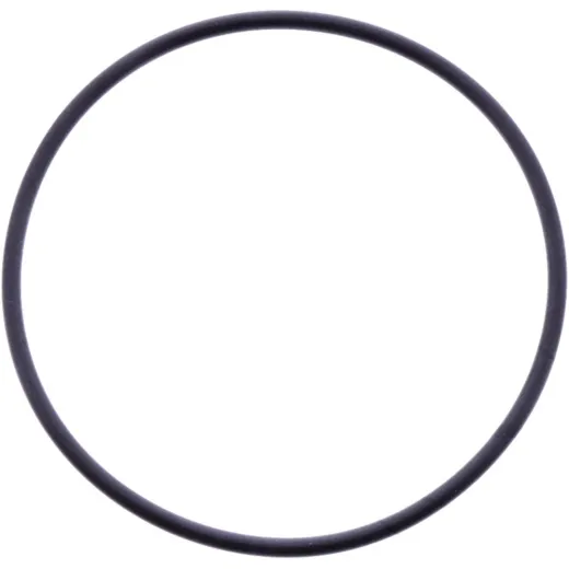 O-Ring 2X53 mm Originalersatzteil