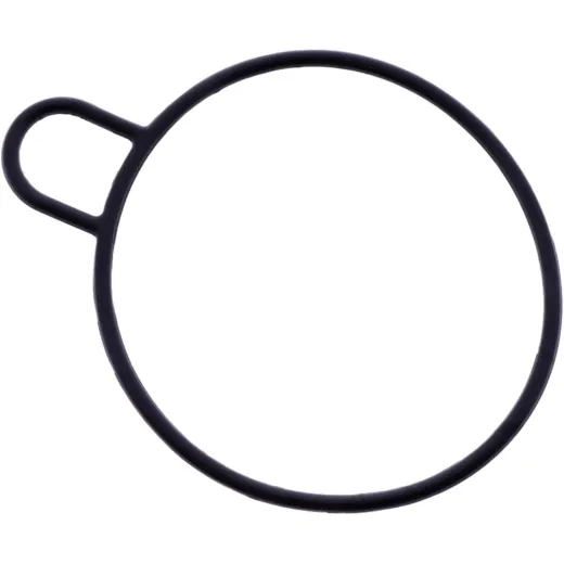 Dichtung Ölfilter Originalersatzteil 1259000