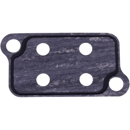 OIL STRAINER GASKET (OE SPARE PART)