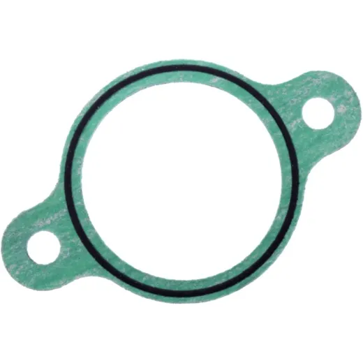 OIL LEVEL GASKET (OE SPARE PART)
