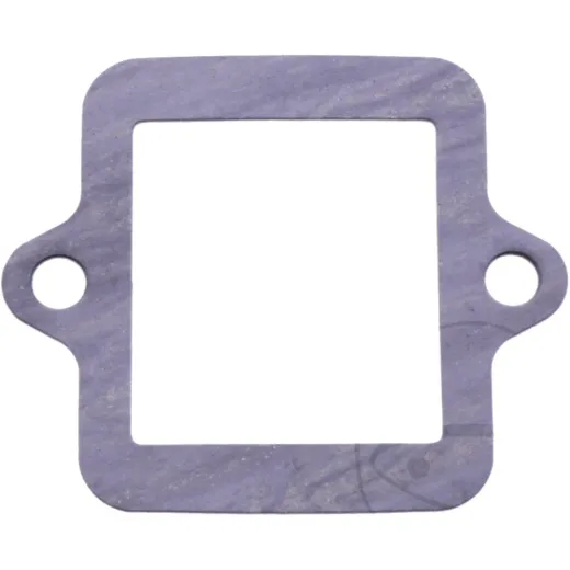 INTAKE GASKET
