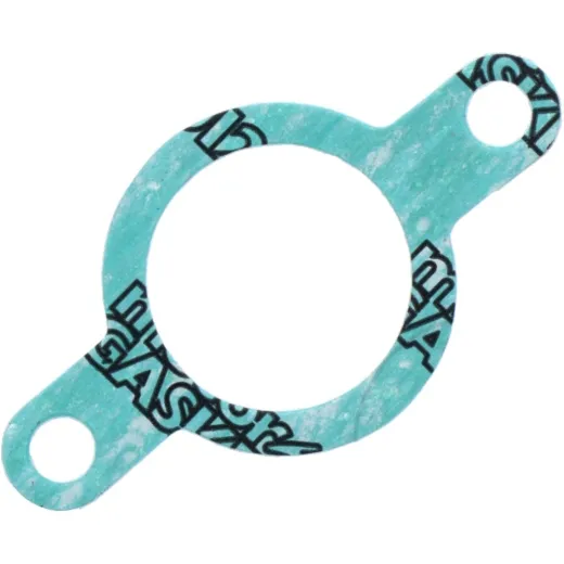 Manifold gasket S410485010004