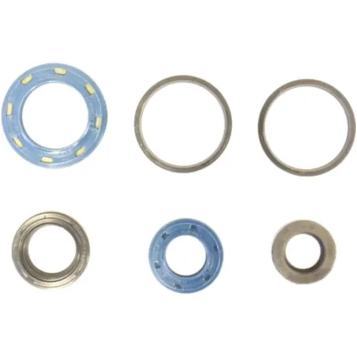 Engine oil seal kit P4002104000211