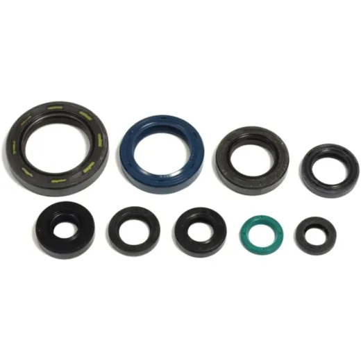 Engine oil seal kit P400210400126