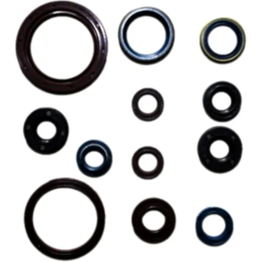 Engine oil seal kit P400010400027