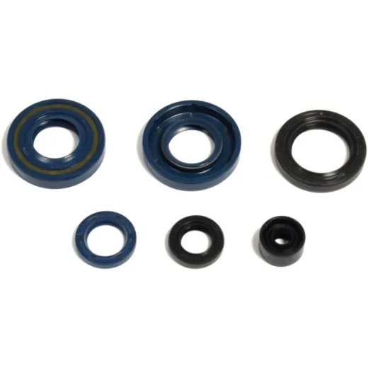 Shaft seal set athena P400250400061