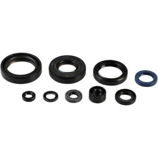 Engine oil seal kit P400250400137