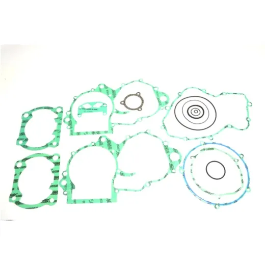 Complete gasket / seal kit P400220850251