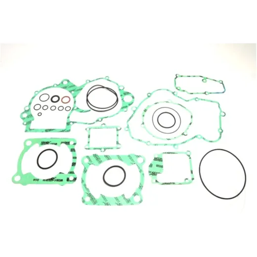 Complete gasket / seal kit P400220850252