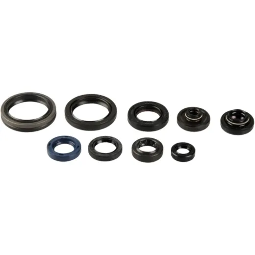Engine oil seal kit P400510400140