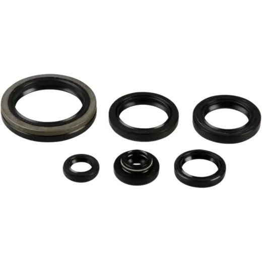 Engine oil seal kit P400510400241