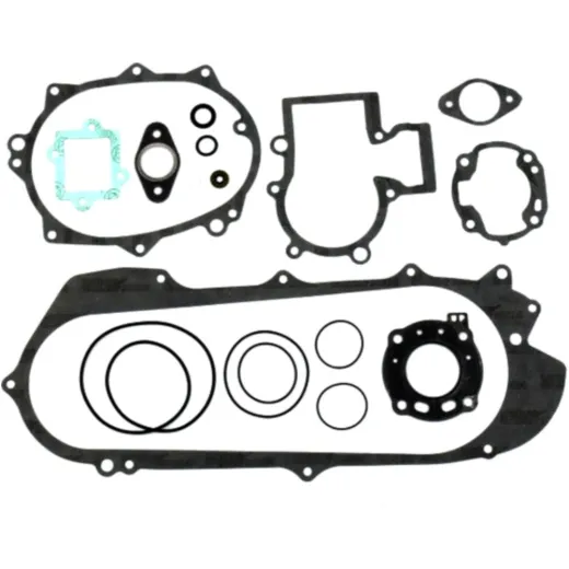 Complete gasket / seal kit P400010850023