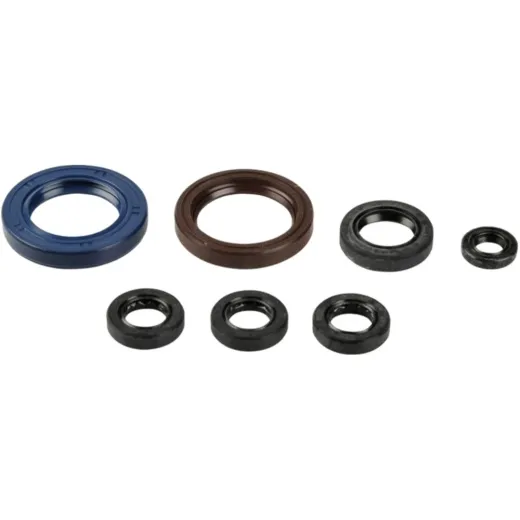Engine oil seal kit P400270400002
