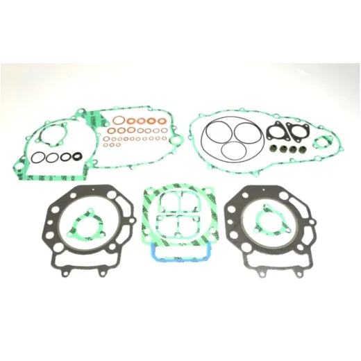 Complete gasket / seal kit P400270850052
