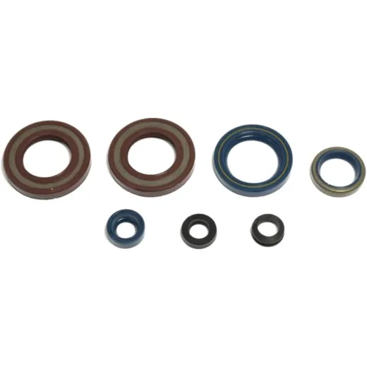 Engine oil seal kit P400270400080