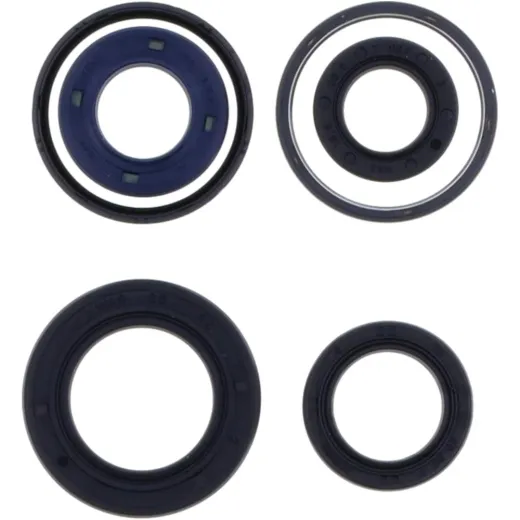 Engine oil seal kit P400420400061