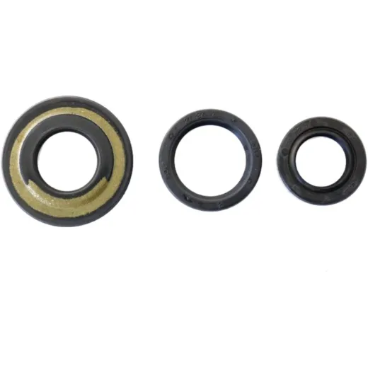 Engine oil seal kit P4004804000501