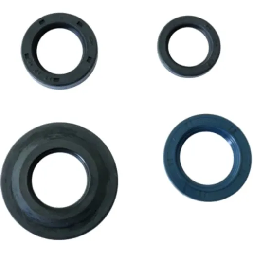 Engine oil seal kit P400480400270