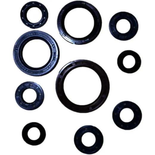 Engine oil seal kit P400270400056