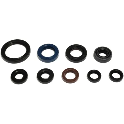Engine oil seal kit P400485400404