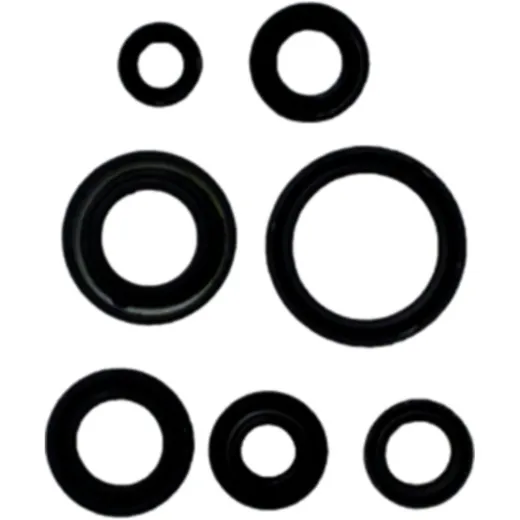 Engine oil seal kit P400510400029