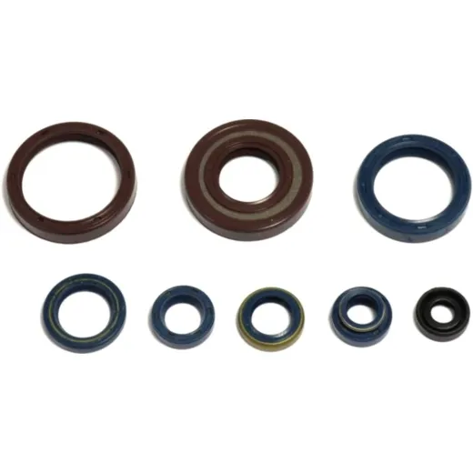 Engine oil seal kit P400220400128
