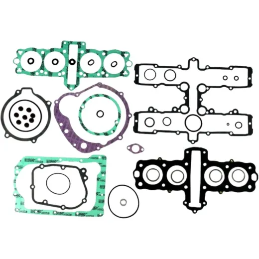 Complete gasket / seal kit P400250850552