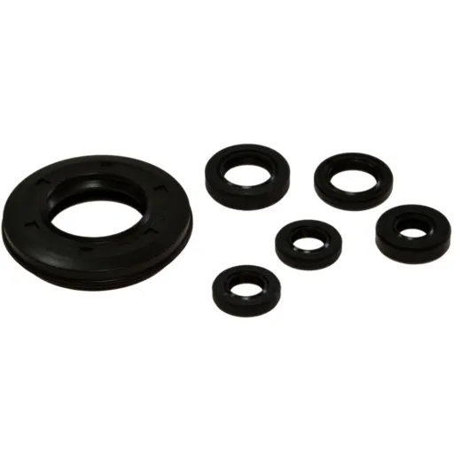 Engine oil seal kit OSL113