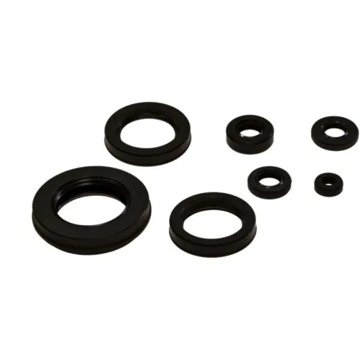 Engine oil seal kit OSL110